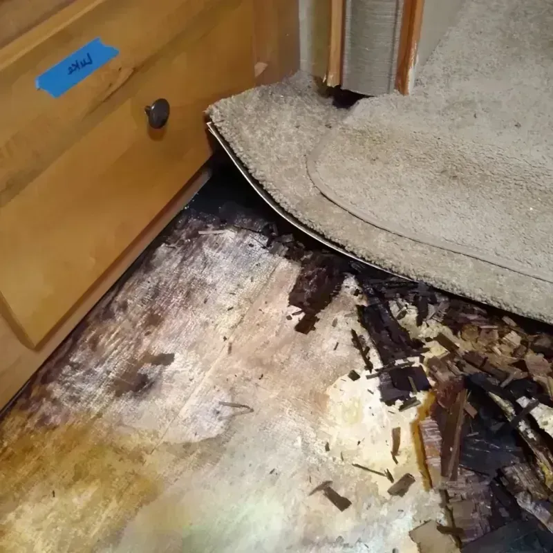 Best Wood Floor Water Damage Service in Kingsville, MD